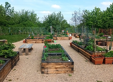 Vyvýšené nadzemní truhlíky k drobnému pěstování v komunitní zahradě.